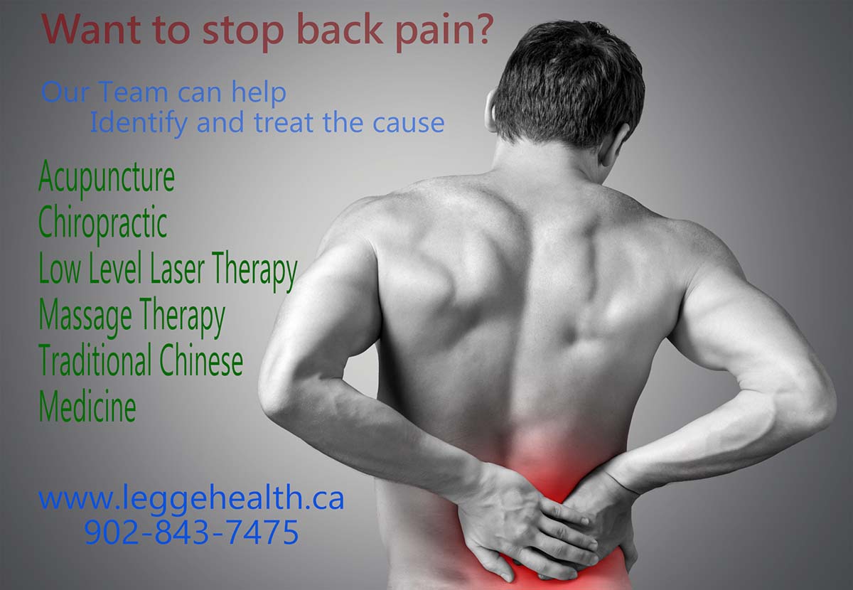 Lower Back Pain 
